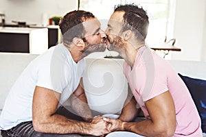 Portrait of a Cute Male gay Couple at Home