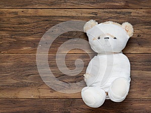 Portrait of cute mummy teddy bear doll bind with white gauze or bandage on dark wooden background