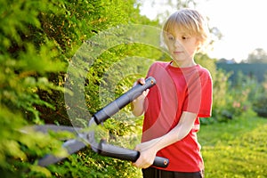 Portrait of cute preteen boy gardener. Child trimming thuja hedge with a pruner in domestic garden on sunny summer day. Kid