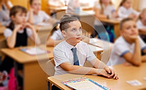 Portrait of cute primary schoolboy on the lesson. Kids writing test