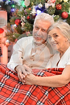 Portrait of cute senior couple celebrating Christmas