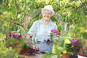 Portrait of cute senior woman gardening