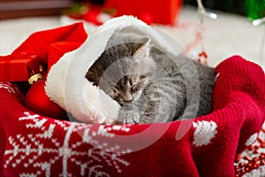 Portrait cute tabby kitten with christmas hat balls gift Xmas decor. Santa Claus hat on pretty Baby cat. Christmas cat sleeping