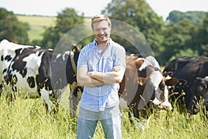 Portrait Of Dairy Farmer In Field With Cattle