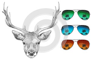 Portrait of Deer with mirror glasses.