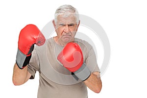 Portrait of a determined senior boxer