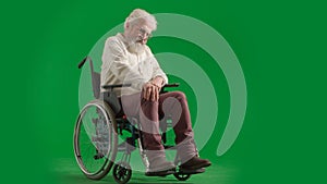 Portrait of disabled man isolated on chroma key green screen full shot. Senior bearded man in wheelchair touching knee