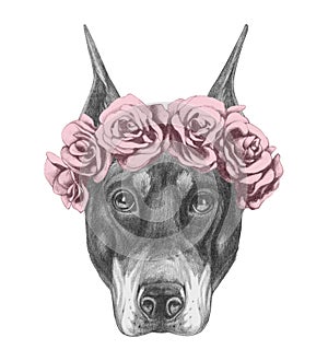 Portrait of Doberman Pinscher with floral head wreath.