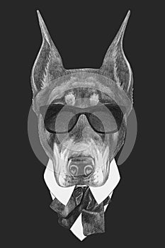 Portrait of Doberman Pinscher in suit.