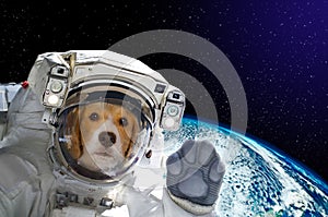 Portrait of a dog astronaut in space on background of the globe