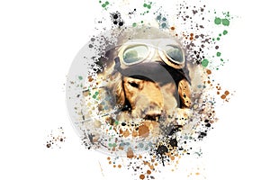 Portrait of a dog in a aviator\'s helmet. Paint splashes.