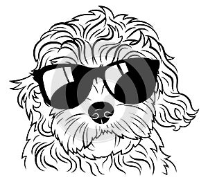 Portrait of a dog in glasses. Vector heads of dog breeds of goldendoodle . Black-white drawing of pets .