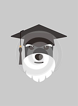 Portrait of dog, wearing bachelor cap, like a doctor , cool style, cosplay