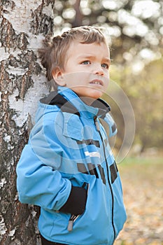 Portrait of dreamy boy about Birch, Fall, fleet