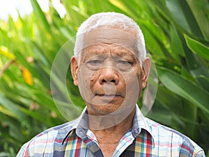 Portrait of an elderly Asian man looking at the camera while in the garden. Concept of aged people and healthcare