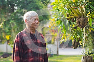 Portrait of an elderly Asian man standing in the home garden. Space for text. Concept of aged people and healthcare