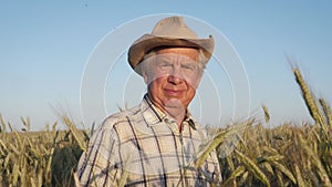 Portrait Elderly Man Farmer With Hat On Agricultural Field Wheat