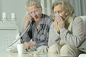 Portrait of elderly man and woman with telephone.