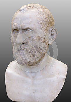 Portrait of an Elderly Roman Man