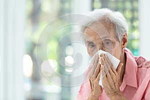 Portrait of elderly woman blowing nose in paper handkerchief,runny nose,Asian senior woman sneezing in a tissue,concept of