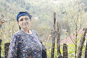 Portrait of an elderly woman with eyeglass in front of hedge photo