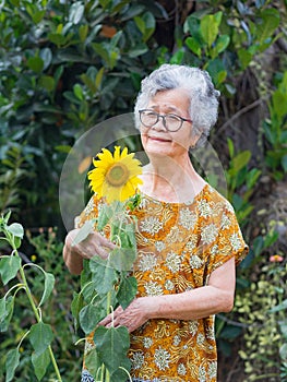 Portrait of an elderly woman with short gray hair smiling and standing side of a sunflower flower in a garden. Space for text.