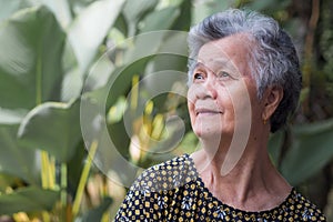 A Portrait of an elderly woman smiling and looking up while standing in a garden. Space for text. Concept of aged people