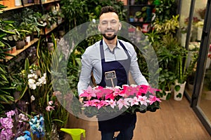 portrait of an employee of a flower shop with perfect small red flowers in his hands