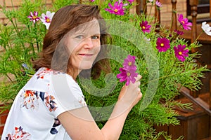 Portrait of an English rose and Cosmos flowers.