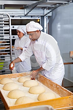 Portrait of experienced professional baker during daily work in kitchen of bakeshop