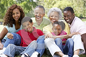 Portrait Of Extended Family Group In Park