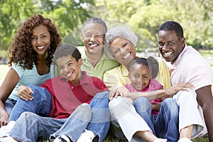 Portrait Of Extended Family Group In Park photo