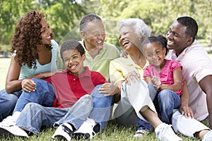 Portrait Of Extended Family Group In Park