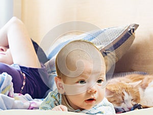 Portrait of face funny caucasian newborn toddler baby boy with sleeping mother and cat