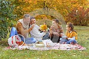 Portrait of family having a picnic in the park in autumn