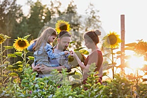 Portrait of Family inspecting sunflower seeds at sunset on farm