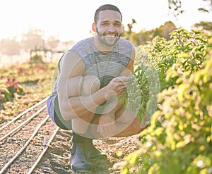 Portrait, farm and man with plants, sunshine and smile for harvest, eco friendly and produce with sustainability. Face