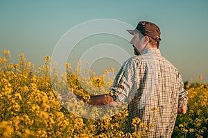 Portrait of farmer agronomist in blooming rapeseed field photo