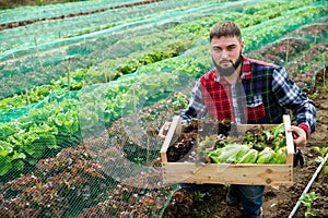 Portrait of farmer with box of vegetables on the background of seedbed