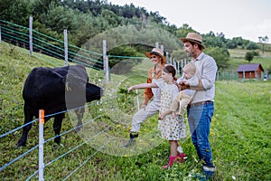 Portrait of farmer family looking at animals in paddock. Farm animals having ideal paddock for grazing. Concept of