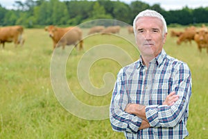 Portrait farmer in field cattle