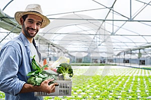 Portrait of farmer in greenhouse hydroponic holding basket of vegetable. he is harvesting vegetables in farm.