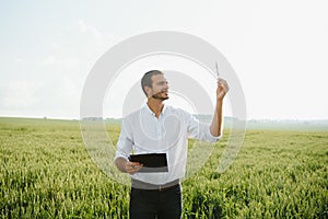 Portrait of farmer standing in young wheat field holding tablet in his hands and examining crop