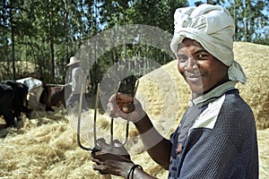 Portrait of farmer at the threshing of grain harvest