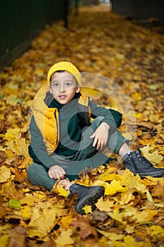 portrait of a fashionable child boy autumn sitting on a trail in orange leaves in the afternoon at a green fence on the