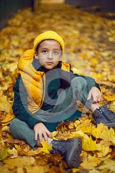 portrait of a fashionable serious child boy autumn sitting on a trail in orange leaves in the afternoon at a green fence