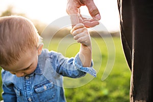 Portrait of father holding little toddler boy by finger, walking in spring nature. First steps for boy during warm