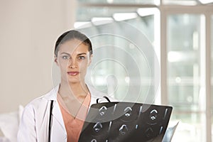 Portrait of female doctor photo