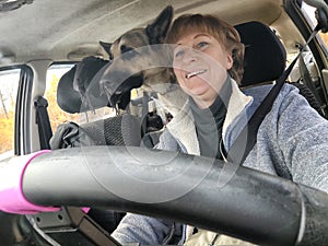 Portrait of female driver in solo journey with big dog. Adult middle aged woman holding steering wheel, looking through