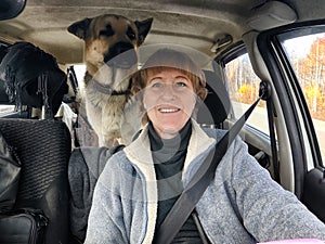 Portrait of female driver in solo journey with big dog. Adult middle aged woman holding steering wheel, looking through